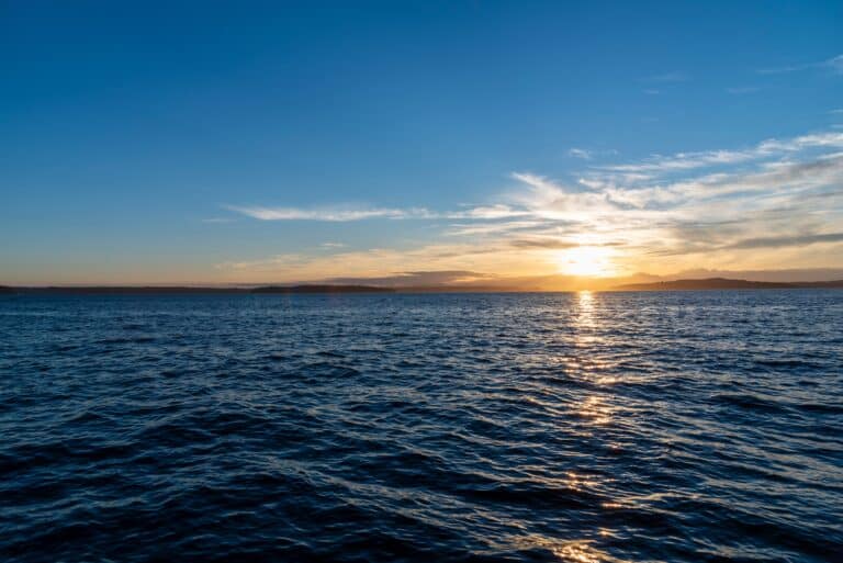 setting-sun-over-sea-2026-03-17-00-41-54-utc